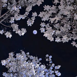 俄罗斯女人和狗交配
