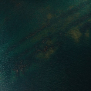 俄罗斯女人和狗交配
