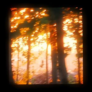 俄罗斯女人和狗交配
