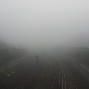 俄罗斯女人和狗交配
