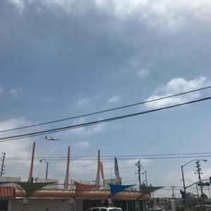 俄罗斯女人和狗交配
